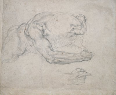 Study of a Man rising from the Ground by Michelangelo Buonarroti